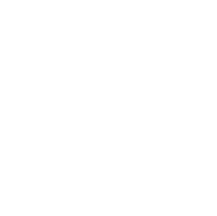 instagramIcon